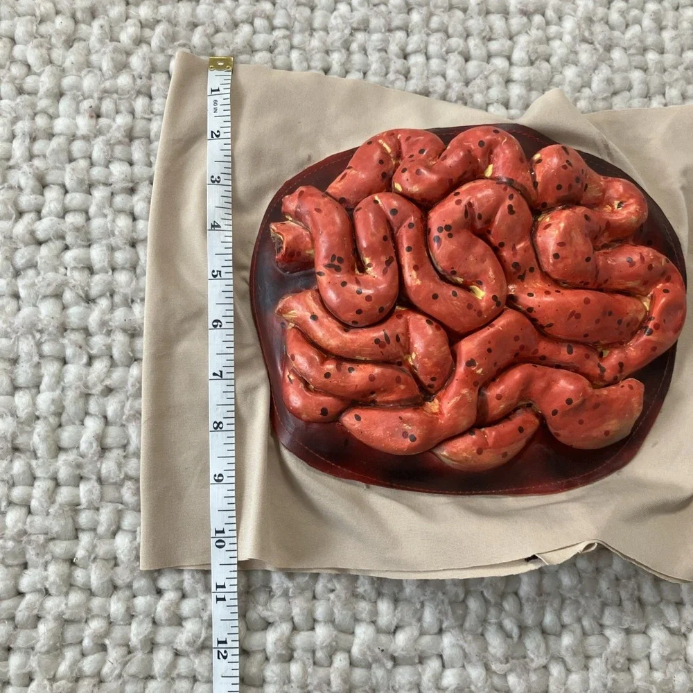 Halloween Fake Severed Body Parts Organs Intestine Wrap‎ Dead Zombie Creepy